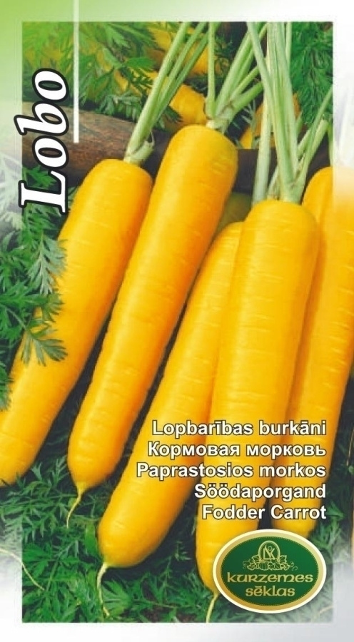 Porkkana "Lobo" siemenet #
