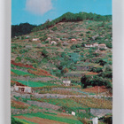 Guido de Monterey : Madeira ja Porto Santo : kaksi saarta... - pikkukuva 2