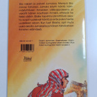 Carine Mackenzie : Jumalan ihmeiden mies - pikkukuva 2