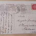 Pikkutiput ja paljon kukkia munan ympärillä, p. 1910 - pikkukuva 2