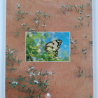 Marycke Jongbloed : The living desert - pikkukuva 2