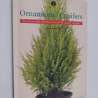 Richard Bird : Ornamental Conifers : The Illustrated Iden... - pikkukuva 1