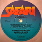 [LP] WAYNE COUNTY & THE ELECTRIC CHAIRS: STORM THE GATES OF - pikkukuva 4