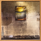 Steve Von Till : of I Should Fall To The Field - LP, Clear - pikkukuva 1