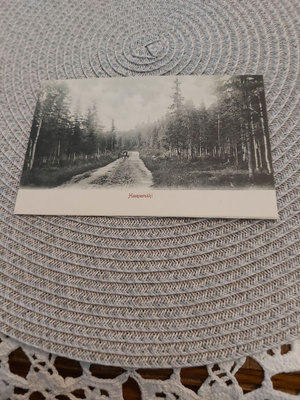 3 Haapamäki