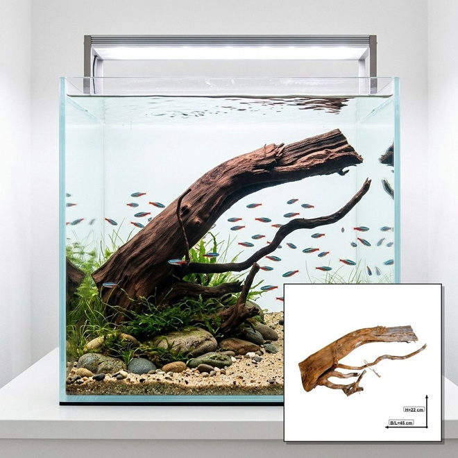 Uniikki akvaariojuurakko 45 cm | nr100C