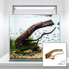 Uniikki akvaariojuurakko 45 cm | nr100C - pikkukuva 1