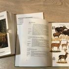 Kirja, METSÄSTÄJÄN OPAS - pikkukuva 3
