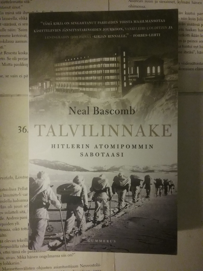 Neal Bascomb - Talvilinnake (pokkari)