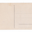 Suojeluskunta Kuopio Aunus Heimosota Hautajaiset 1919 - pikkukuva 2