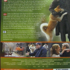 HACHIKO  - TARINA USKOLLISUUDESTA DVD - pikkukuva 2