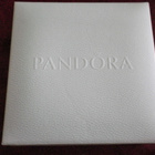 Pandora rannekorut 925H 2 kpl ja Pandora korurasia - pikkukuva 3