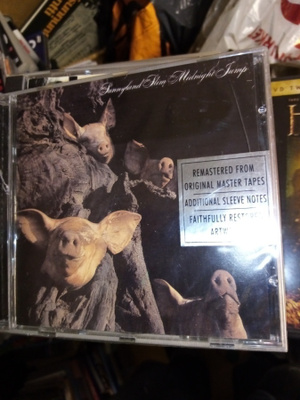 CD SUNNYLAND SLIM : MIDNIGHT JUMP (UUSI)