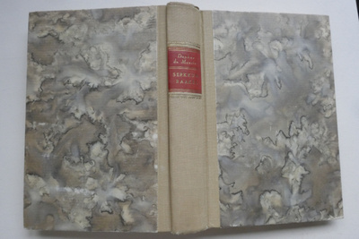 Daphne du Maurier: Serkkuni Raakel
