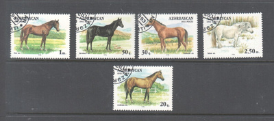 Azerbaizan hevosia