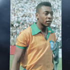 1966 Aral World Cup Pele - pikkukuva 1