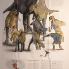 National Geographic vol.212 No.6 Poster: Dinosaurs - pikkukuva 2