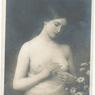 Neito ja päivänkakkaroita - kulk.1906 - pikkukuva 1