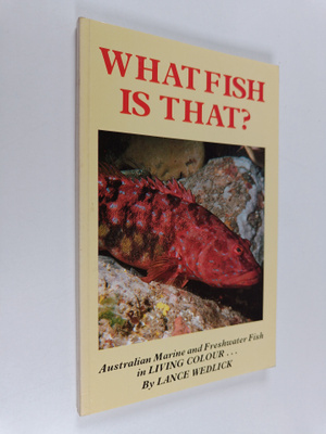 What fish is that?