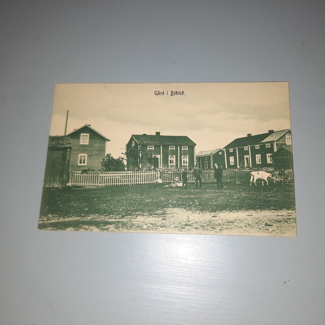 PK Björkö talorykelmä, lehmä Mustasaari Vaasa *