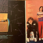 REO Speedwagon hi infidelity, tuplavinyyli lp - pikkukuva 2