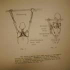 Krantz KINESIOLOGY MANUAL ( 4 p. 1951 USA ) Sis.pk:t - pikkukuva 4