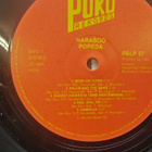 Popeda – Hara?oo - pikkukuva 3