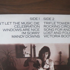 The Tremeloes: Don't Let The Music Die LP - pikkukuva 3