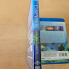 Fascination Coral Reef: Hunters & The Hunted (Blu-ray 3D/BD) - pikkukuva 3
