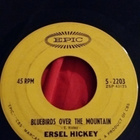 Ersel Hickey sinkku - pikkukuva 1