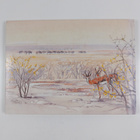 Christine Marais ym. : Etosha Experience - pikkukuva 2