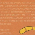 Heli Ilaskari: Guru Gurnaun joogakoulu - pikkukuva 4