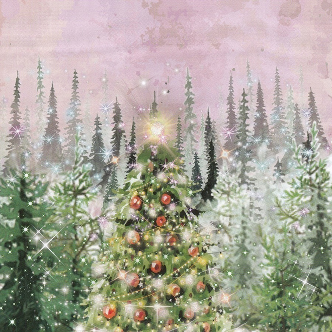 Sabina Comizzi:  Joulukuusi (neliökortti)