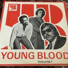 VARIOUS - Young Blood Volume 1 - pikkukuva 1