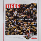 Tiede 7/2002 - pikkukuva 2