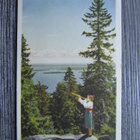 LIEKSA.....Koli, "torvensoittaja", vanhempi värikortti. - pikkukuva 1