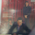 KIM SALMON & THE SURREALISTS - ESSENCE M-/EX+ LP - pikkukuva 2
