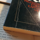 Max Weber - Protestanttinen etiikka ja kapitalismin henki - pikkukuva 2