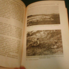 Leo Lehtonen: Lintuparatiisi (1.p.1945) Sis.postikulut - pikkukuva 3