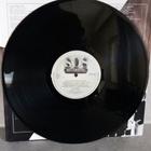 THE RADIO Black Paint White Color SOSLP 036 1981 Ruotsi - pikkukuva 5