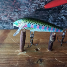 Rapala Sinking Rainbow 5cm - pikkukuva 2
