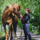 Viva n:o 7 2020 Ritva Oksanen. Kalajoki. Päivi. Jaana & Anja - pikkukuva 4