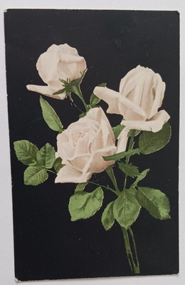 Vaaleanpunaisia ruusuja, vanha väripk, p. 1909