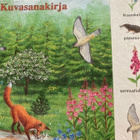 LUONNONELÄMÄÄ - KUVASANAKIRJA - pikkukuva 1