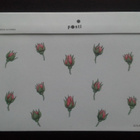 FDC Ruusu 1.3.2004 LaPe 1690 - pikkukuva 2
