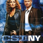 Csi:Ny Kausi 2 (6 dvd = 24 jaksoa = 993min(14156) - pikkukuva 1