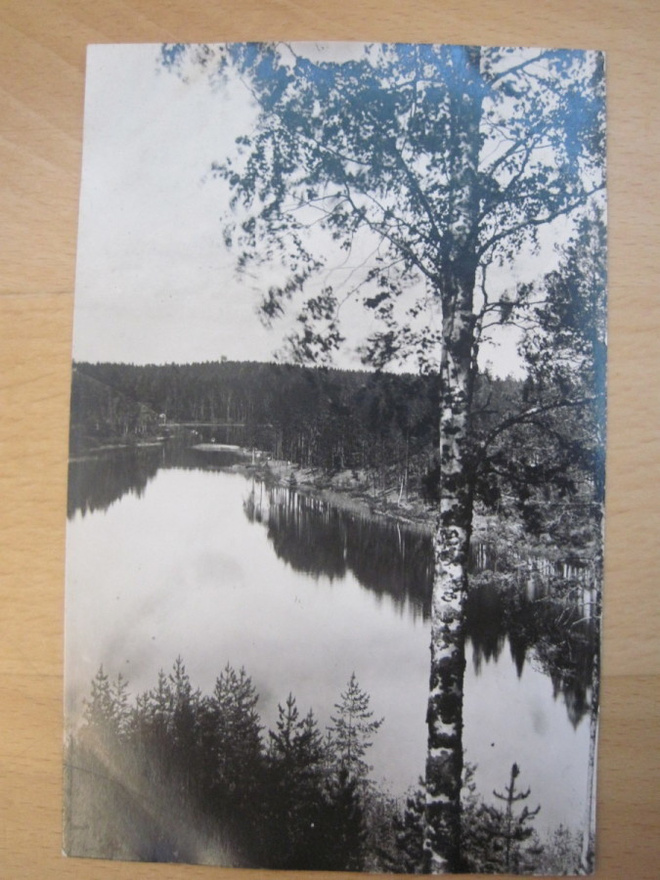 VANHA Valokuva Punkaharju 1920-luku