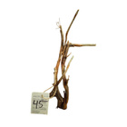 Uniikki akvaariojuurakko 35 cm | nr45 - pikkukuva 5
