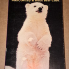 THE TEDDY BEARS  PUHUTTU SUOMEKSI LUONTO FILMI VHS - pikkukuva 1