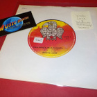 WANHA LAINE - PALA MAATA, PALA TAIVASTA EX+ 7'' SINGLE - pikkukuva 1